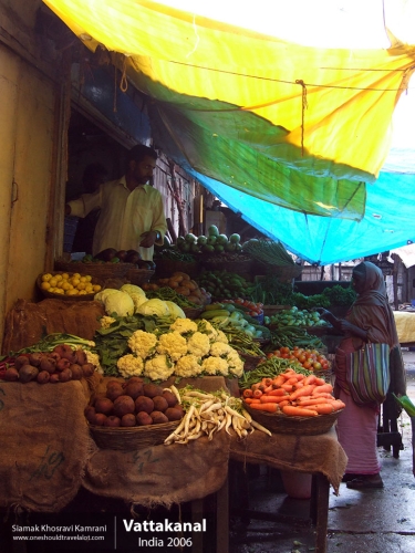 India, Vattakanal, Siamak Travels 21