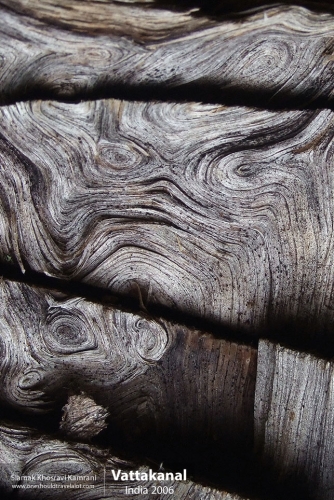 India, Vattakanal, Siamak Travels 29