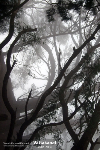 India, Vattakanal, Siamak Travels 31