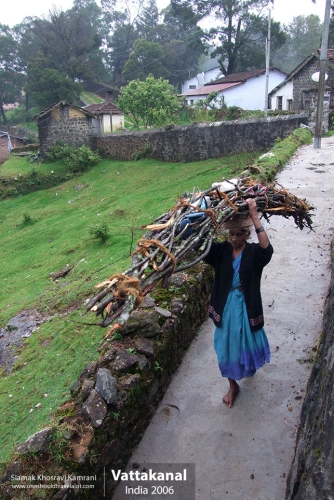 India, Vattakanal, Siamak Travels 32