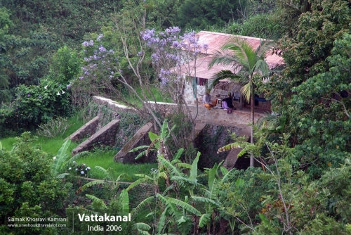 India, Vattakanal, Siamak Travels 38