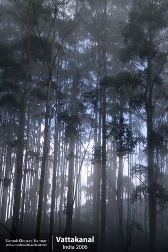 India, Vattakanal, Siamak Travels 45