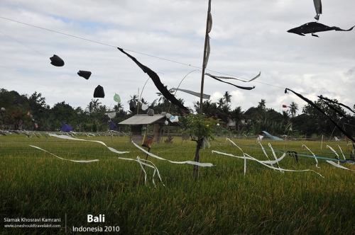 Indonesia, Bali, Siamak Travels 32