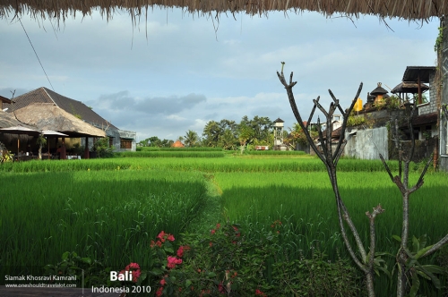 Indonesia, Bali, Siamak Travels 36