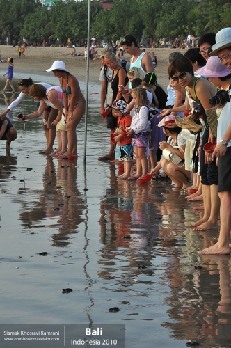 Indonesia, Bali, Siamak Travels 39