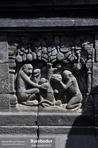 Indonesia, Borobudur, Siamak Travels 33