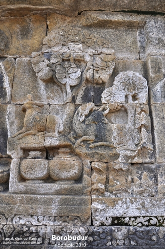 Indonesia, Borobudur, Siamak Travels 36