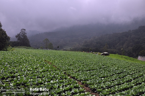 Indonesia, Kota Batu, Siamak Travels 01