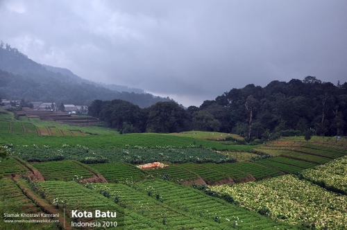 Indonesia, Kota Batu, Siamak Travels 03