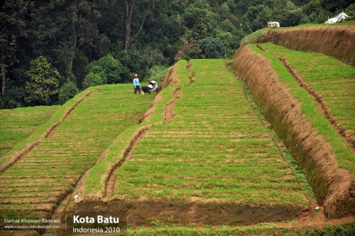 Indonesia, Kota Batu, Siamak Travels 04