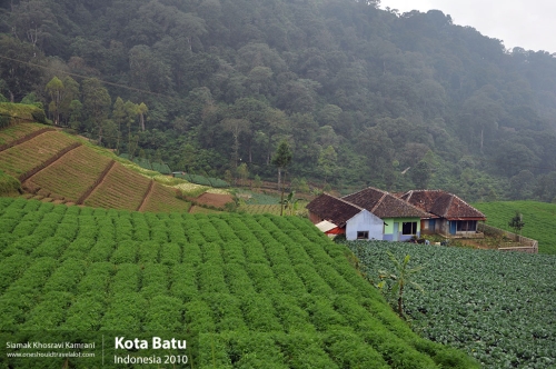 Indonesia, Kota Batu, Siamak Travels 11