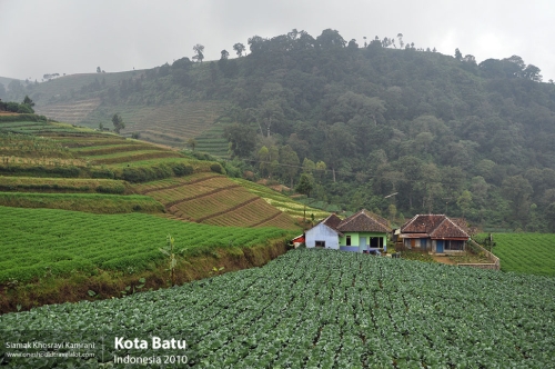 Indonesia, Kota Batu, Siamak Travels 12