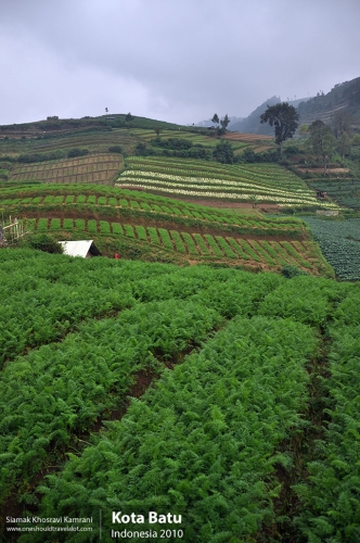 Indonesia, Kota Batu, Siamak Travels 14