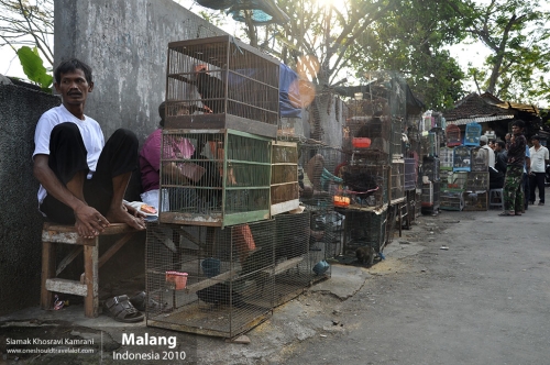 Indonesia, Malang, Siamak Travels 12