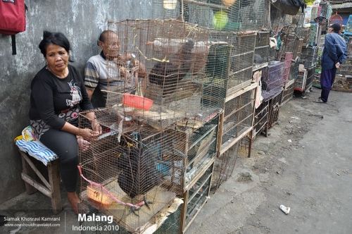 Indonesia, Malang, Siamak Travels 13