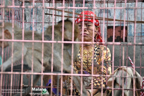 Indonesia, Malang, Siamak Travels 15
