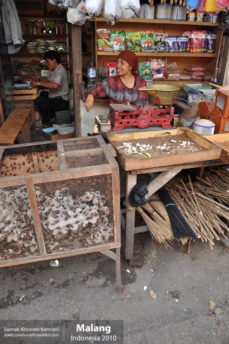 Indonesia, Malang, Siamak Travels 17