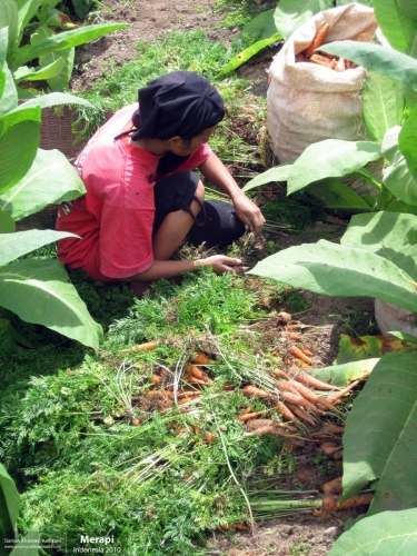 Indonesia, Merapi, Siamak Travels 06