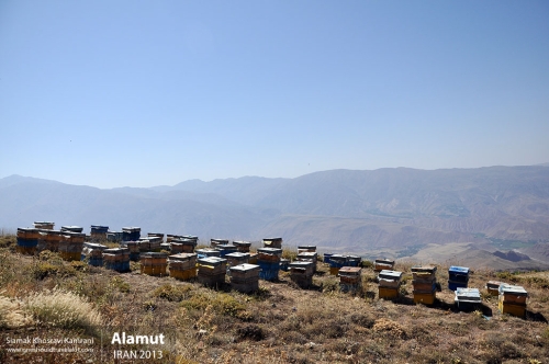 Iran, Alamut, Siamak Travels 02