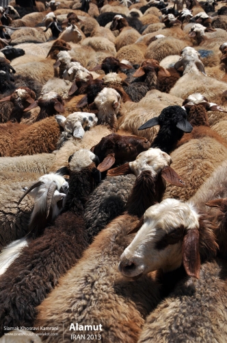 Iran, Alamut, Siamak Travels 05