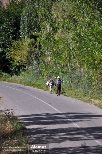 Iran, Alamut, Siamak Travels 15
