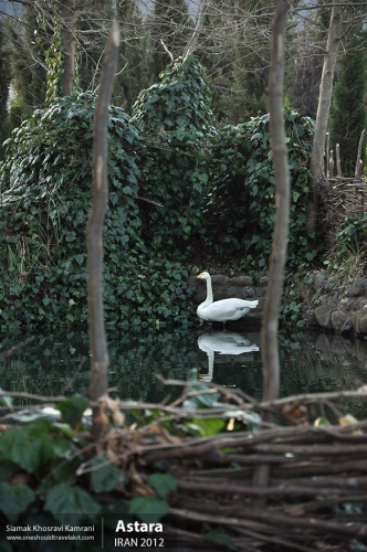 Iran, Astara, Siamak Travels 3