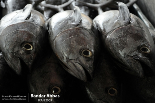 Iran, Bandar Abbas, Siamak Travels 11