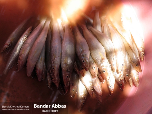 Iran, Bandar Abbas, Siamak Travels 18