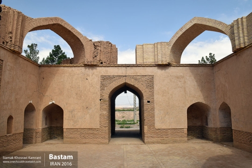 Iran, Bastam, Siamak Travels 02