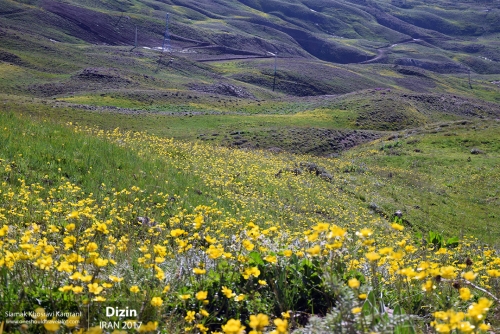 Iran, Dizin, Siamak Travels 1