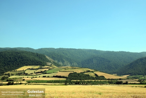 Iran, Golestan, Siamak Travels 01