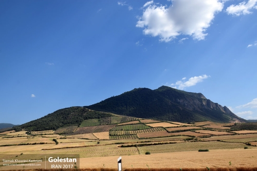 Iran, Golestan, Siamak Travels 03