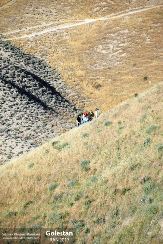 Iran, Golestan, Siamak Travels 08