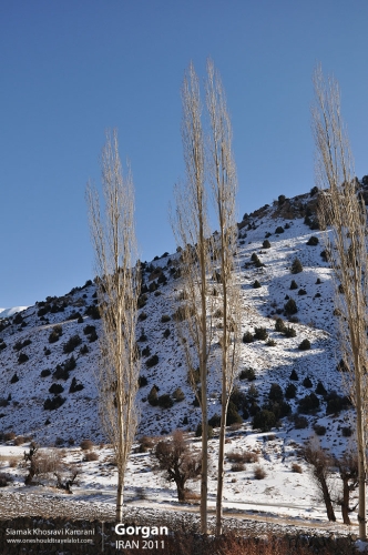 Iran, Gorgan, Siamak Travels 01