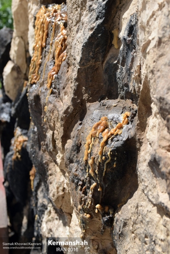 Iran, Kermanshah, Siamak Travels 04