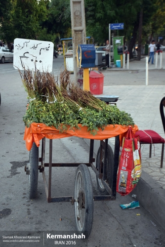 Iran, Kermanshah, Siamak Travels 16