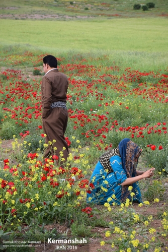 Iran, Kermanshah, Siamak Travels 42
