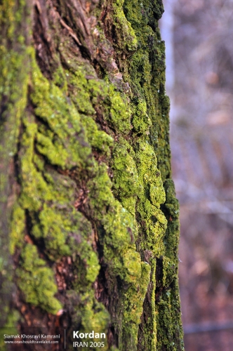 Iran, Kordan, Siamak Travels 08
