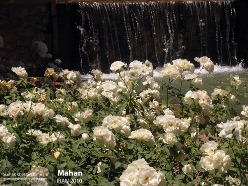 Iran, Mahan, Siamak Travels 10
