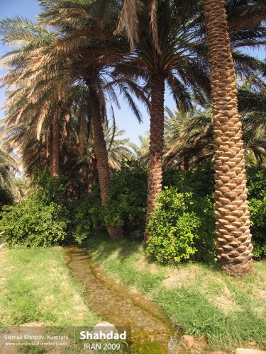 Iran, Shahdad, Siamak Travels 6