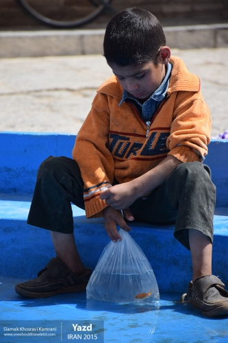 Iran, Yazd, Siamak Travels 40