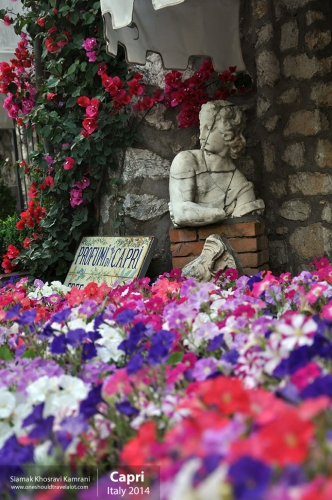 Italy, Capri, Siamak Travels5