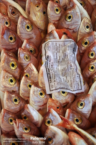 Italy, Palermo, Siamak Travels 03