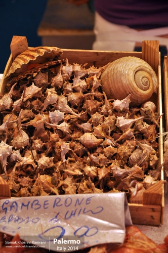 Italy, Palermo, Siamak Travels 04