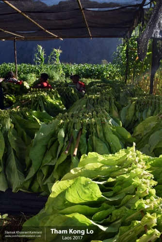 Laos, Tham Kong Lo, Siamak Travels 09