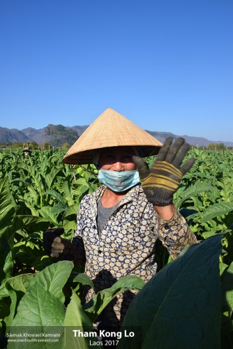 Laos, Tham Kong Lo, Siamak Travels 14