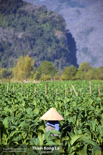 Laos, Tham Kong Lo, Siamak Travels 15