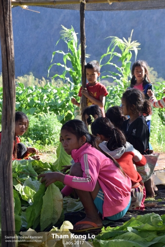 Laos, Tham Kong Lo, Siamak Travels 23