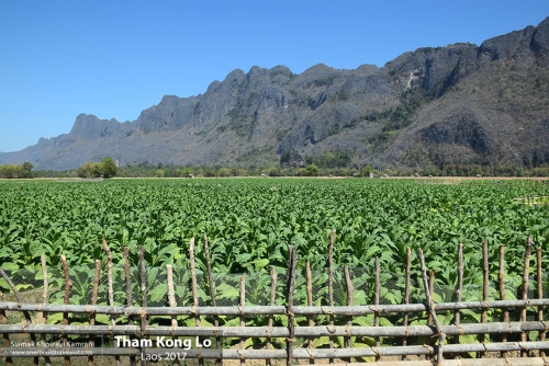 Laos, Tham Kong Lo, Siamak Travels 33