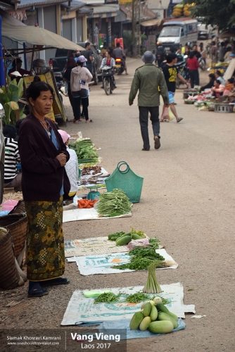 Laos, Vang Vieng, Siamak Travels 19